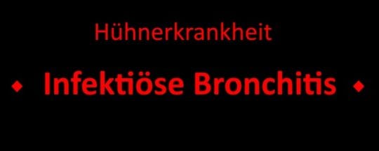 Infektiöse Bronchitis