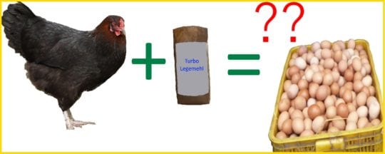 Auf welche Faktoren Sie als Käufer vor dem Kauf der Hühnerfutter pellets achten sollten!
