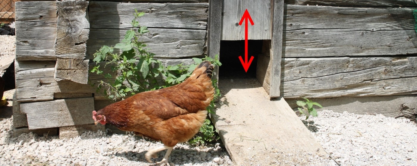 Automatische Hühnertür Hühnerklappe Stallöffner Hühnerstall Hühner Klappe Tür 