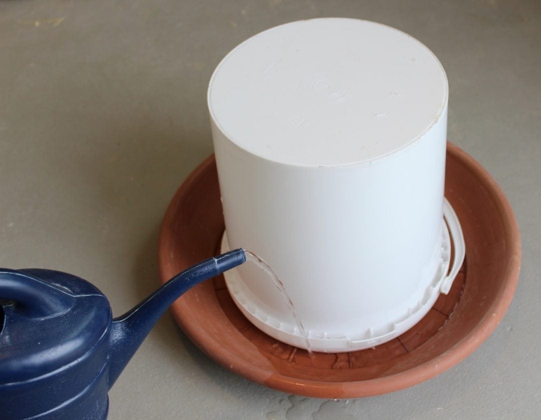 Wasser in der Tränke
