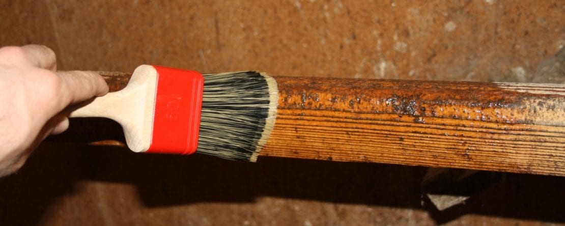 Huhnermilben Vorbeugen 5 Wirksamste Tipps Um Milben Loszuwerden