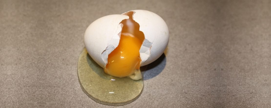 Hühner Fressen Ei