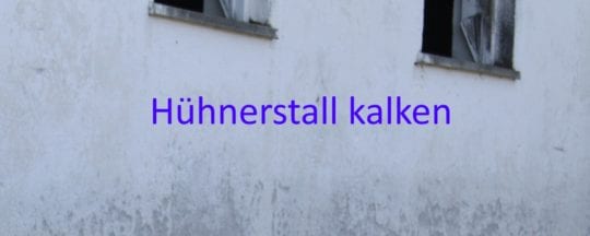 Hühnerstall kalken