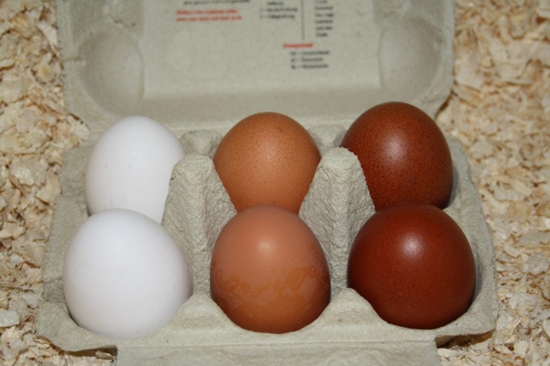 Eierfarbe bei Eiern aus dem Laden