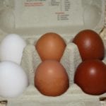 Eierfarbe bei Eiern aus dem Laden