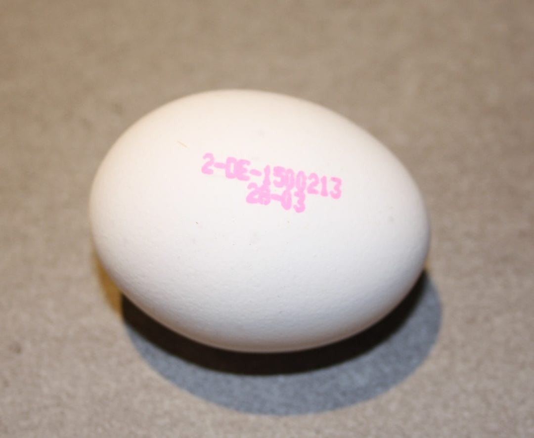 Kennzeichnung der Haltungsform auf den Eiern