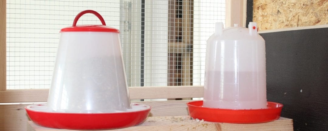 Futter und Wasser in der Wachtelvoliere