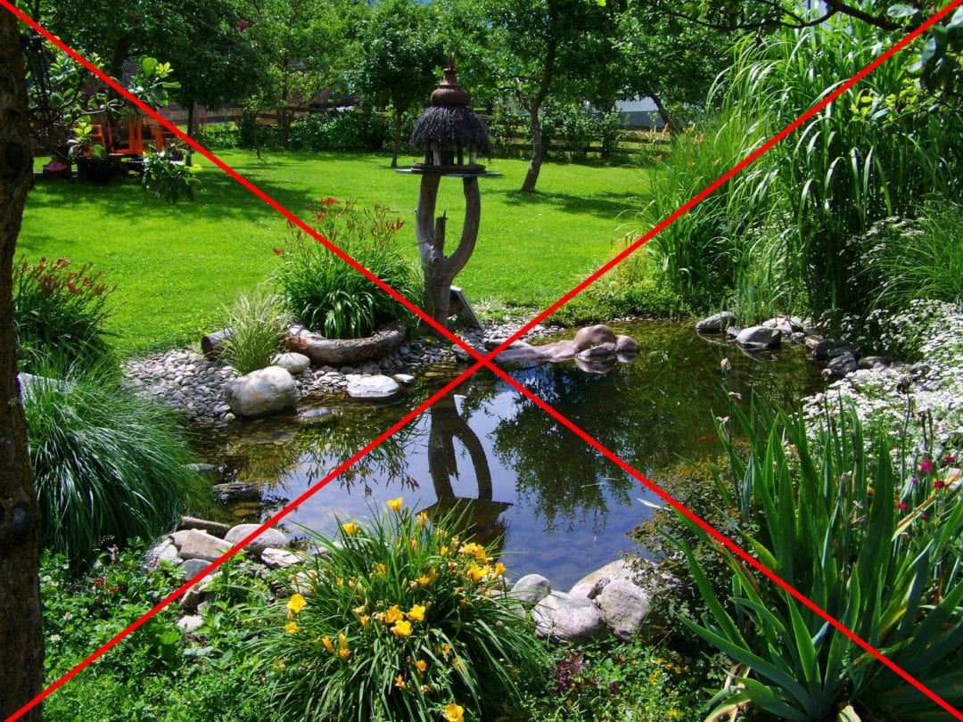 Harmonischer Gartenteich ohne Enten