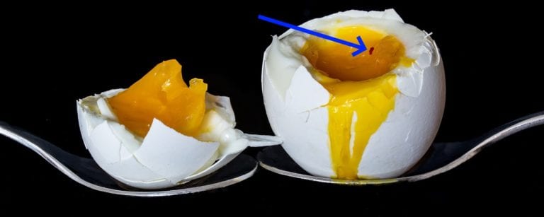 ROTER PUNKT IM EI WOHER KOMMT DAS visual data 5