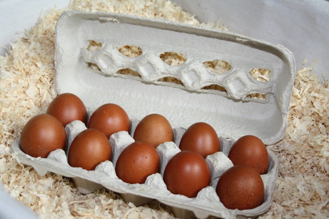 Eier für die Nachbarn