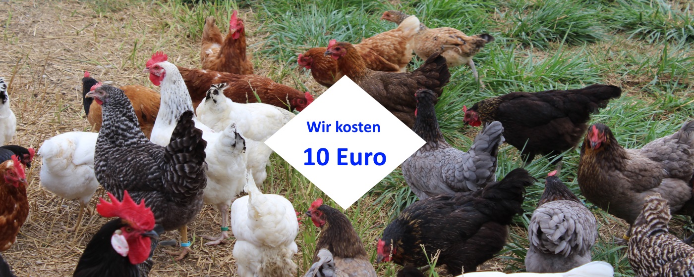 Wie Viel Kostet Ein Verlobungsring Wie Viel Kostet Ein Verlobungsring