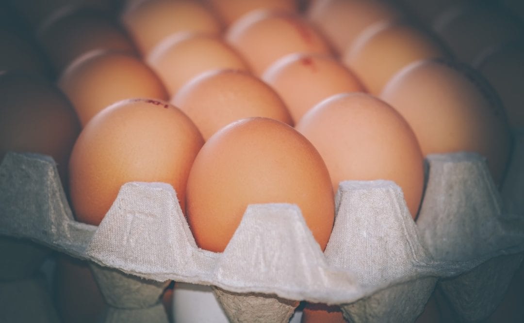 Eier richtig lagern