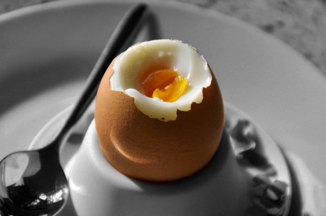 Frisches Ei hervorragend als Frühstücksei