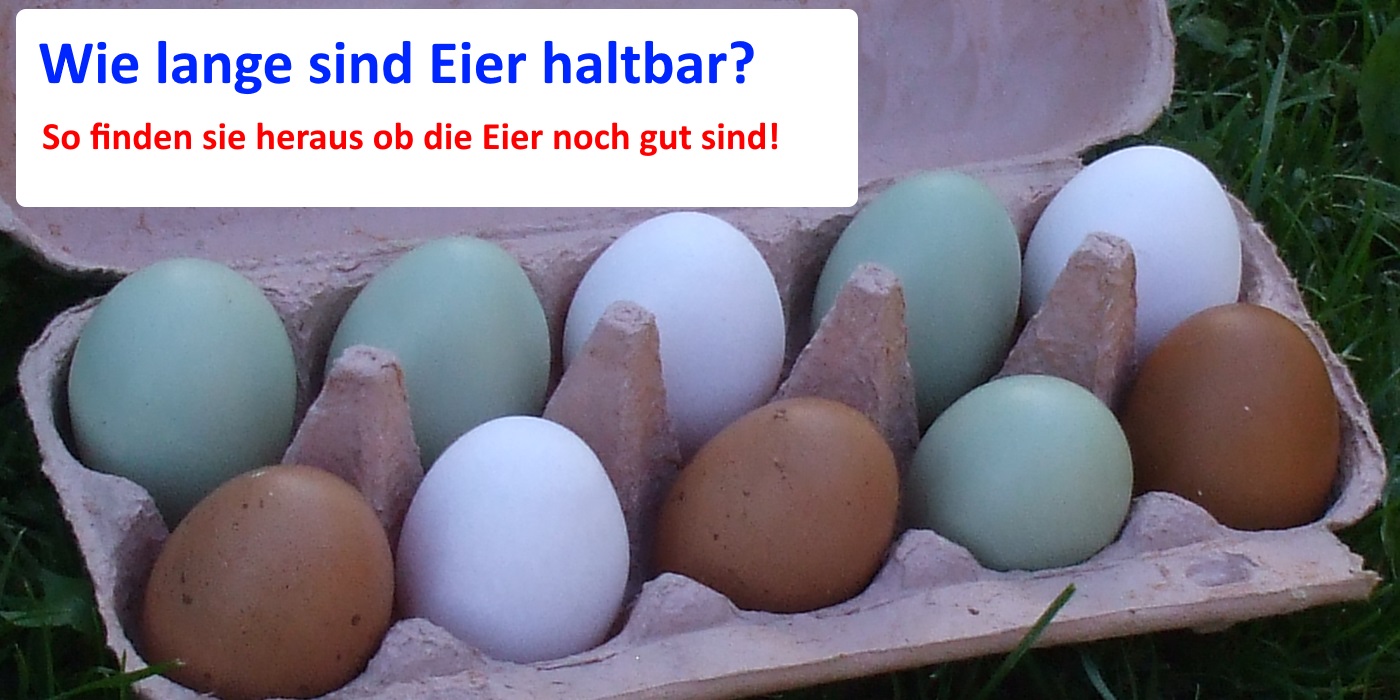 Wie lange sind Eier haltbar? 3 Methoden Prüfen ob Eier noch gut sind!