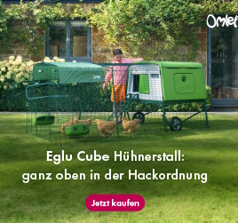 Schaut euch diesen Stall mal an! - Omlet© Eglu Cube