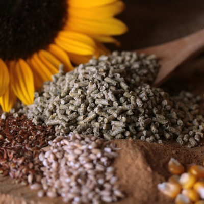 Enten- und G&auml;nsekorn (10 Kg)| DuckGold&reg;