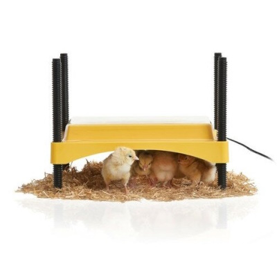 Brinsea EcoGlow Safety 600 W&auml;rmeplatte