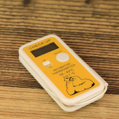 Digitales Brutthermometer