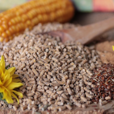 Legekorn H&uuml;hner (2,5Kg)| H&uuml;hnergold&reg;