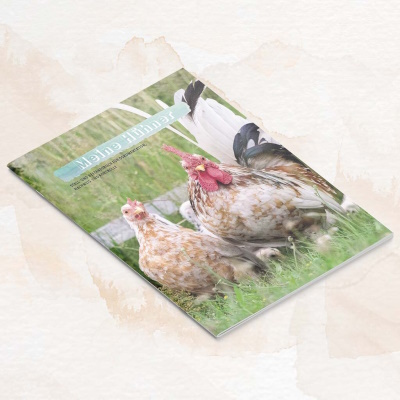 Mein Stall- & Bestandsbuch