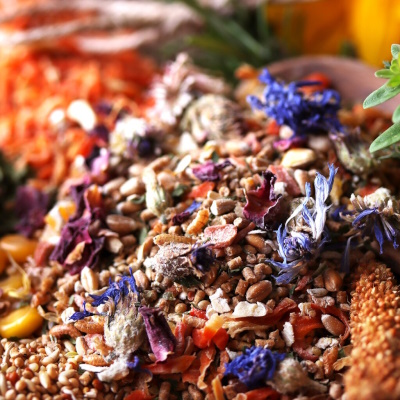 Wachtel Shop Spezial Original(2,5Kg) | WachtelGold&reg;