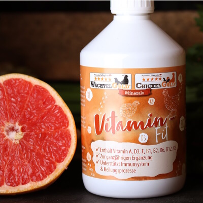 Vitamin-Fit 500ml | Federgold&reg;