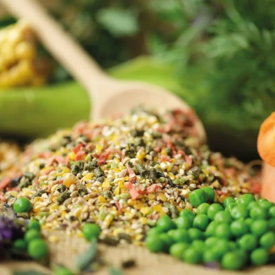 Scharrmix (1,1Kg)| Federgold&reg;