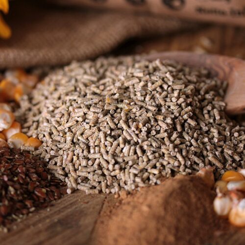 Enten- und G&auml;nse K&uuml;kenkorn (2,5Kg) | DuckGold&reg;